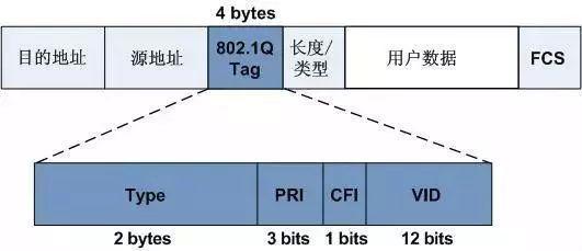 黄色视频黄瓜视频的VLAN技术